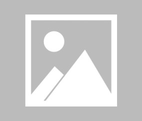 Kaiyun官方网站-网球拍击穿三分线，阿扎伦卡的雄鹿高光为何引爆全球热议？网球拍击穿三分线，阿扎伦卡雄鹿高光引爆全球热议