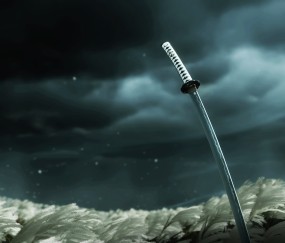 开云-v7.2.5版本发布，2026年4月16日更新全记录