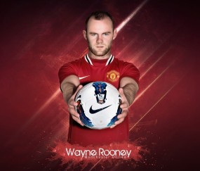 Kaiyun官方网站-利刃与坚盾的变奏，当科维托娃的矛刺穿极限之盾，科维托娃，以攻为矛，刺穿极限之盾