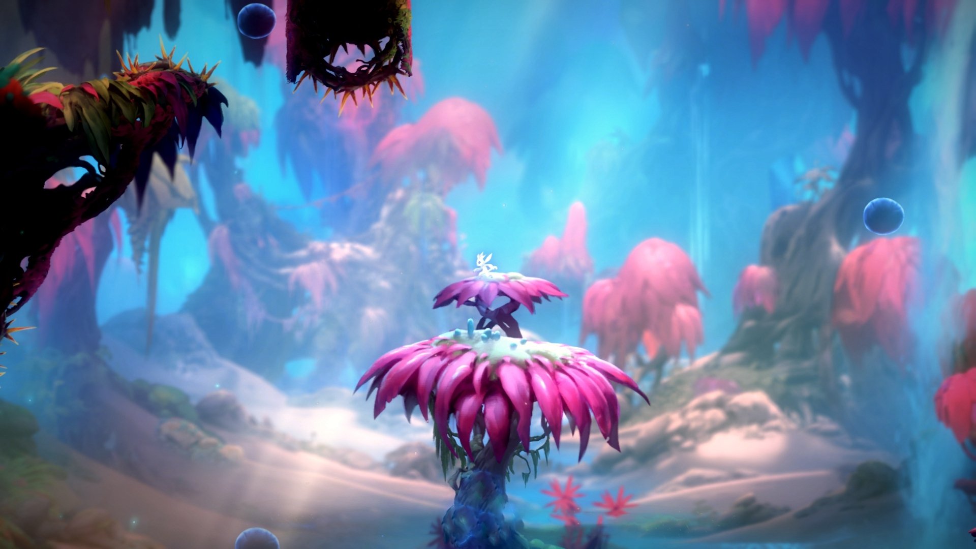 跨越技术边界，v7.2.5 版本如何定义 2026 年的数字体验